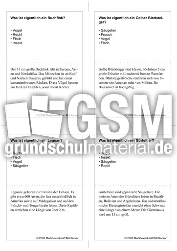 Quiz-Karten-Tiernamen 84.pdf